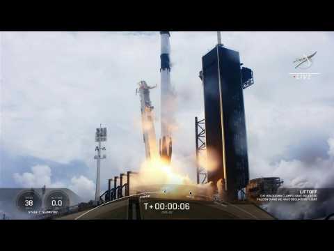 One small step for cephalopods: SpaceX takes off with research squids to ISS