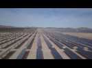 Chile inaugurates Latin Amerca's first thermosolar energy plant in Atacama desert