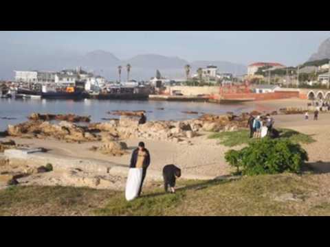 Activists take part in beach clean-up in Cape Town