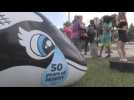 Activists call in Miami for the release of the orca Lolita