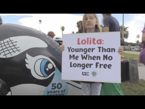 Activists protesti for the release of the orca Lolita