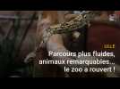 Lille : le zoo a rouvert