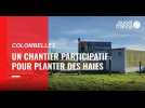 VIDEO. Un chantier participatif pour planter 950 arbres et arbustes au Potager d'Annie, à Colombelles