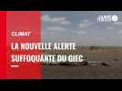 VIDEO. Climat : le GIEC publie un rapport entre plus alarmant