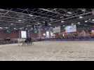 Salon de l'agriculture : dans les coulisses d'une présentation de chevaux boulonnais