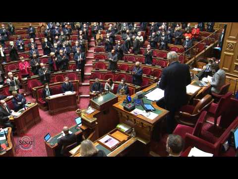 French senators pay tribute to "Ukrainian resistance"
