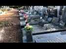 Cimetière Verlighem