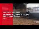 VIDÉO. Des cavalières découvrent la monte en amazone à Fontenay-le-Comte