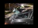 Lille: un jeune homme miraculé après la chute d'un arbre sur sa voiture