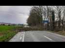 Les dégâts de la tempête Eunice en Wallonie