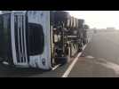 Un camion se renverse au port de Calais