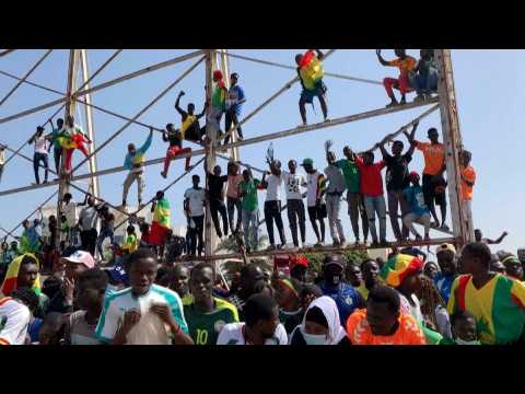 Senegal come home to hero's welcome after Africa Cup of Nations win