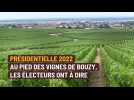 La présidentielle vue par les habitants de Bouzy, village du vignoble champenois