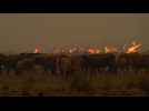 Argentine : les flammes continuent de ravager la province de Corrientes