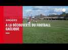 VIDEO. A la découverte du football gaélique à Angers