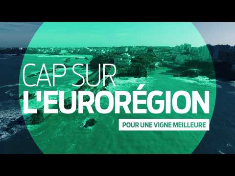 Cap sur l'Eurorégion |  Pour une vigne meilleure