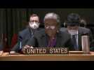 Russia calling troops in Ukraine peacekeepers is 'nonsense': US envoy - Label : AFPTV - First images - Category : News