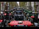 Les agriculteurs en colère : plus de 500 tracteurs dans les rues de Lille