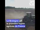Le poids de l'agriculture en Bretagne