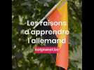 Les raisons d'apprendre l'allemand