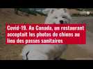VIDÉO. Au Canada, un restaurant acceptait les photos de chiens au lieu des passes sanitaires