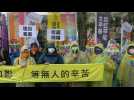 Taïwan: pour la Saint-Valentin, les couples LGBT plaident pour l'égalité