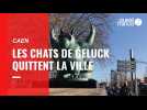 VIDÉO. Les Chats de Philippe Geluck quittent la ville de Caen