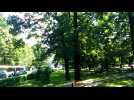 Test video youtube