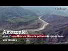 Amazonie: plus d'un million de litres de pétrole déversés dans une réserve