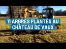 11 arbres plantés au Château de Vaux