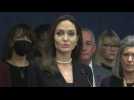 Angelina Jolie renews push for domestic violence law
