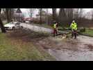 Tempête à Laon, un arbre sur la chaussée.