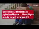 VIDÉO. Bousculades, intimidations, cyberharcèlement... Un collégien sur dix se sent en inséc