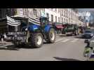 VIDÉO. À Quimper, les agriculteurs arrivent en tracteur dans le centre-ville pour manifester