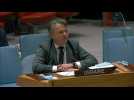 Ukraine urges UN 'to do everything possible to stop the war'