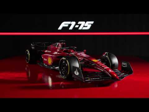F1-75 - Car Beauty