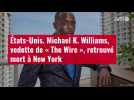 VIDÉO. Michael K. Williams, vedette de « The Wire », retrouvé mort à New York