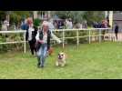 Rassemblement chiens hippodrome du Touquet