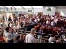 Sedan foire agri dimanche