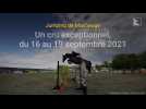 Jumping de Maubeuge du 16 au 19 septembre