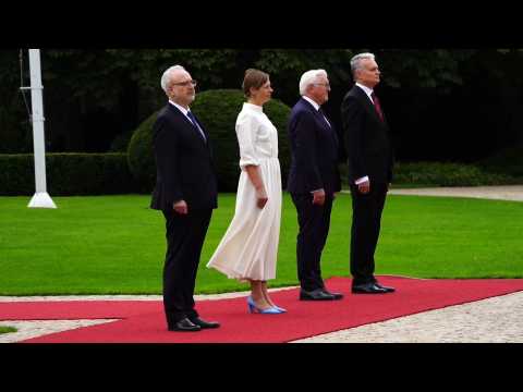 German President receives Latvian, Lithuanian and Estonian counterparts with military honors