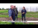 Le littoral des Hauts-de-France, parlons-en !