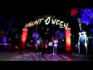 Over 14,000 square feet of Halloween adventures in Los Angeles
