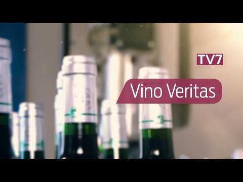 Vino Veritas | Vendanges : les promesses du millésime - Partie 2