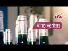 Vino Veritas | Vendanges : les promesses du millésime - Partie 2