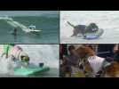 Canines ride waves in annual dog surfing competition in California
