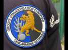 Les chiens de la gendarmerie sont de redoutables enquêteurs