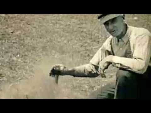 La Caravane de l'étrange - Extrait 1 - VO