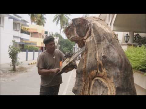 'Dog and Dolphin' sculptures carved into tree trunk in Bangalore