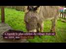 Ardennes: P'tit Jacques était le plus petit âne du monde